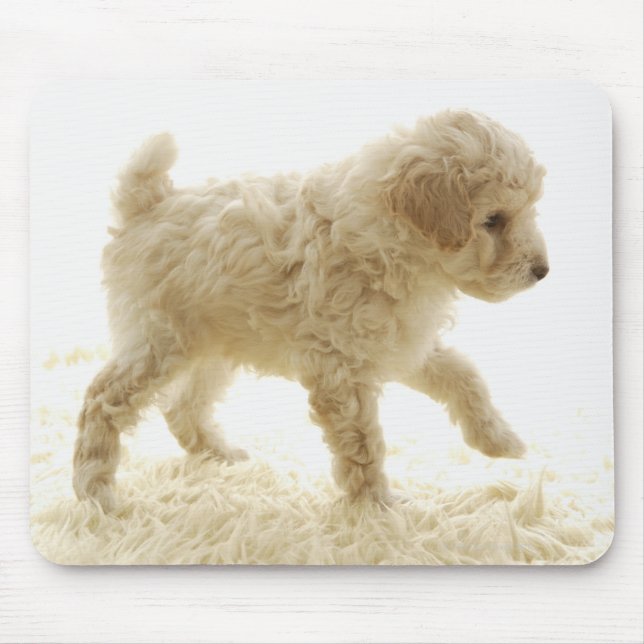 Poodle Puppy Mouse Pad (Front)