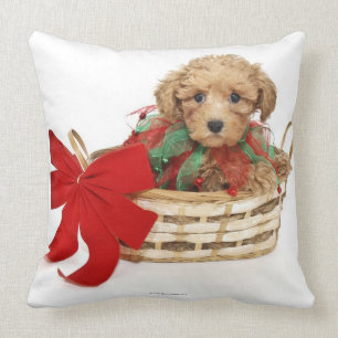 Poodle puppy sitting in Christmas basket Cushion