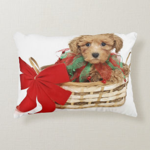Poodle puppy sitting in Christmas basket Decorative Cushion