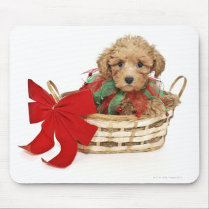 Poodle puppy sitting in Christmas basket Mouse Pad