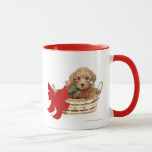 Poodle puppy sitting in Christmas basket Mug