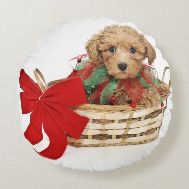 Poodle puppy sitting in Christmas basket Round Cushion (Front)