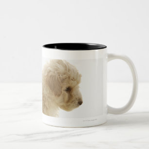 Poodle Puppy Two-Tone Coffee Mug