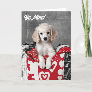Poodle Puppy Valentine Card