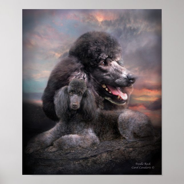 Poodle Rock Art Poster/Print Poster (Front)