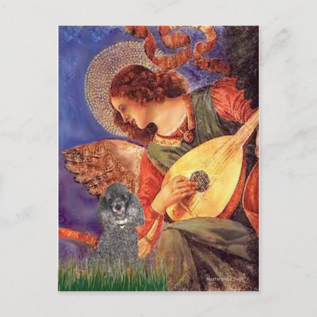 Poodle(S) - Mandolin Angel Postcard (Front)