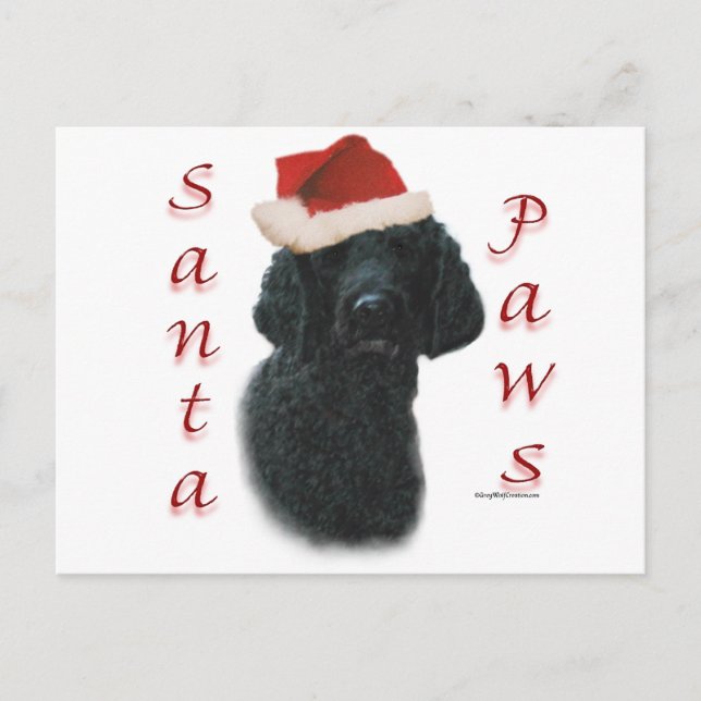 Poodle Santa Paws Holiday Postcard (Front)