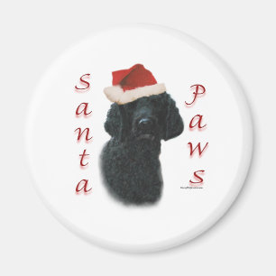 Poodle Santa Paws Magnet