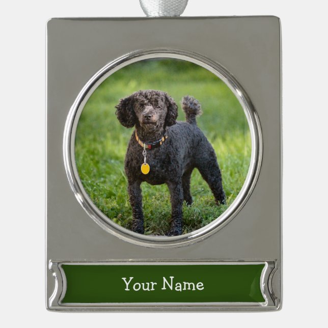 Poodle Silver Plated Banner Ornament (Front)