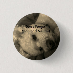 Poodle Spay and Neuter Promo Button