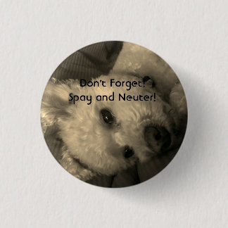 Poodle Spay and Neuter Promo Button