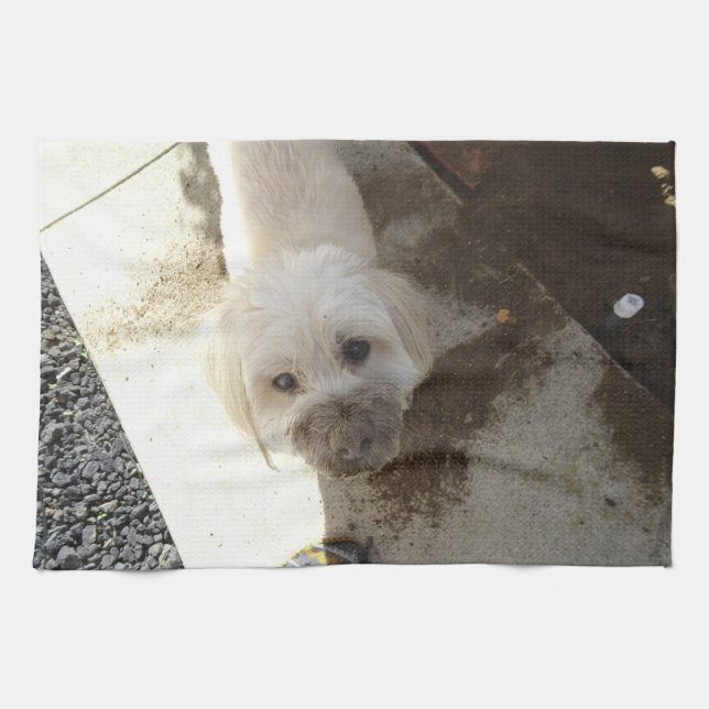 Poodle-Terrier mix with dirty face Tea Towel (Horizontal)