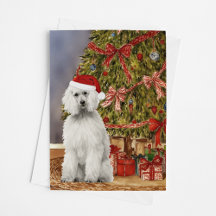 Poodle Watercolor Under the Christmas Tree