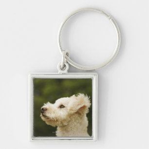 Poodle (white) 2 key ring