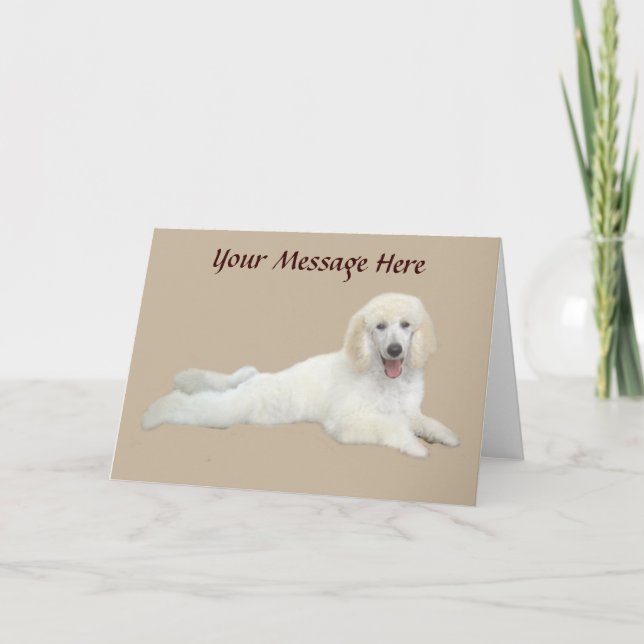 Poodle White Beautiful Greeting Card (Front)