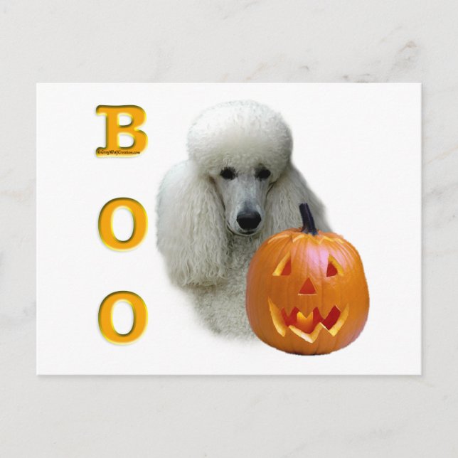 Poodle (White Coated) Boo Postcard (Front)