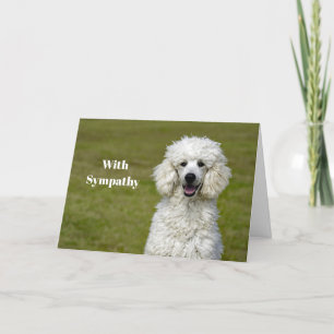 Poodle White Dog Photo Sympathy Card