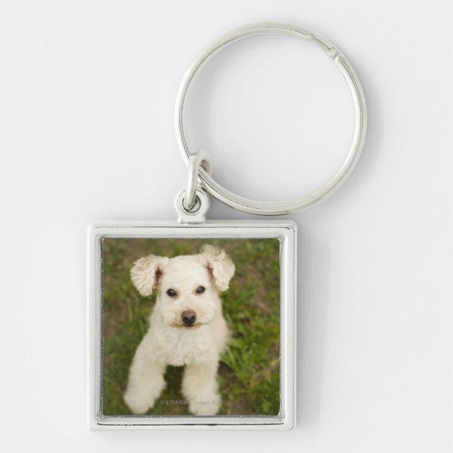 Poodle (white) key ring (Front)