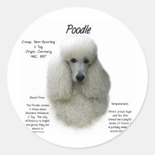Poodle (wht) History Design Classic Round Sticker