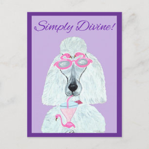 Poodle with a Pink Flamingo Drink Postcard