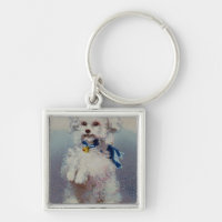 Poodle with blue ribbon