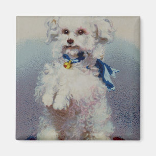 Poodle with blue ribbon magnet