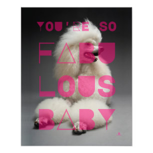 Poodle - You're So Fabulous Baby -  Photo Print