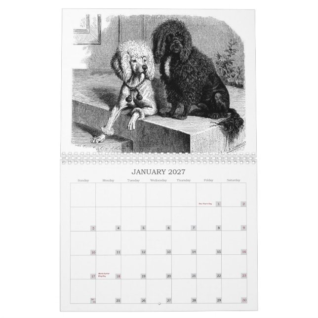Poodles: 2011 Calendar (Jan 2027)