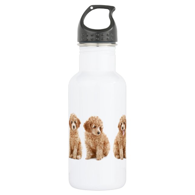 Poodles 532 Ml Water Bottle (Front)