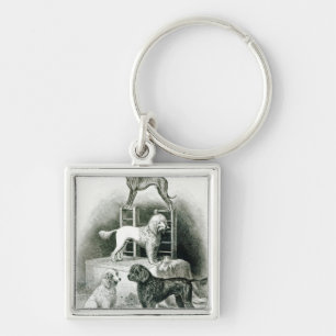 Poodles and Whippet - Group of Mr. Walton's Key Ring