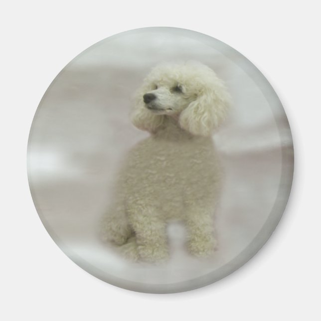 Poodles Are Heavenly Magnet (Front)