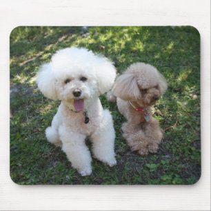 Poodles Mouse Pad