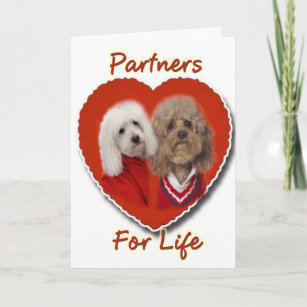Poodles Partners for Life Holiday Card