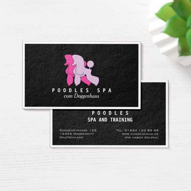 Poodles Spa Cards (Desk)