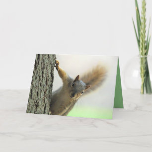 Poof Card