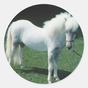 Poofy White Pony Classic Round Sticker