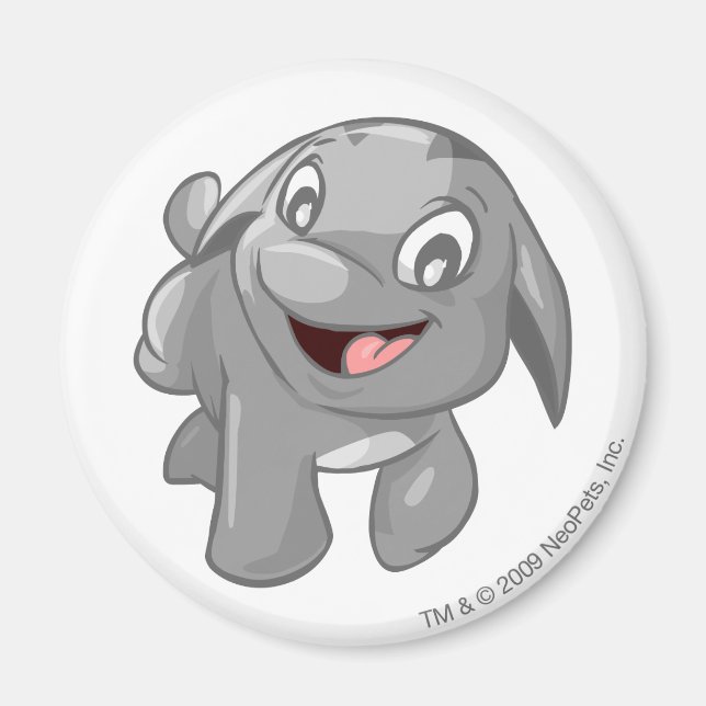 Poogle Silver Magnet (Front)