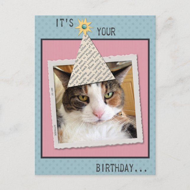 Pookie the Cat Birthday Postcard (Front)