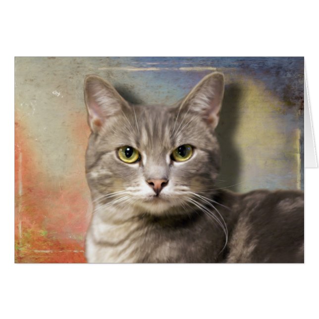 Pookie the Grey Cat (Front Horizontal)