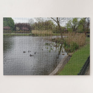 Pool & Birds Jigsaw Puzzle