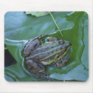 Pool Frog, Amperauen, Germany Mouse Pad