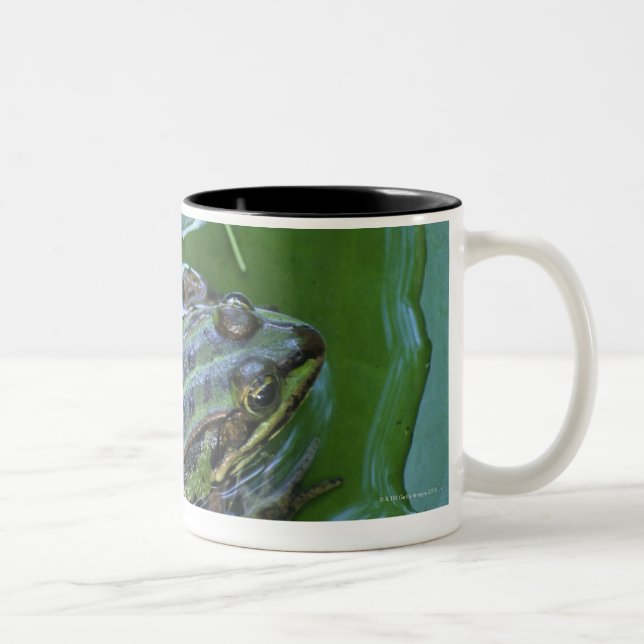 Pool Frog, Amperauen, Germany Two-Tone Coffee Mug (Right)