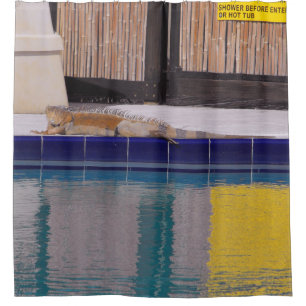 Pool of the Iguana Shower Curtain