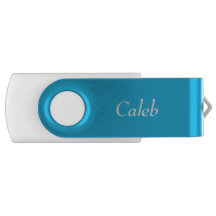 Pool Party Blue Personalised USB