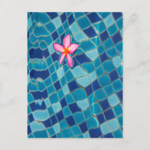 Pool party blues pink flower floating pop colour postcard