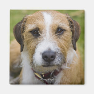 pooley bridge cumbria england 2 magnet
