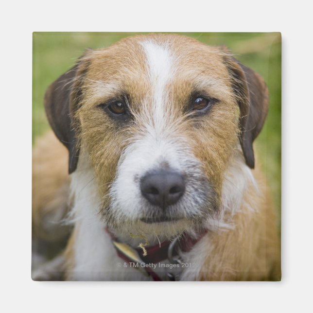 pooley bridge cumbria england 2 magnet (Front)