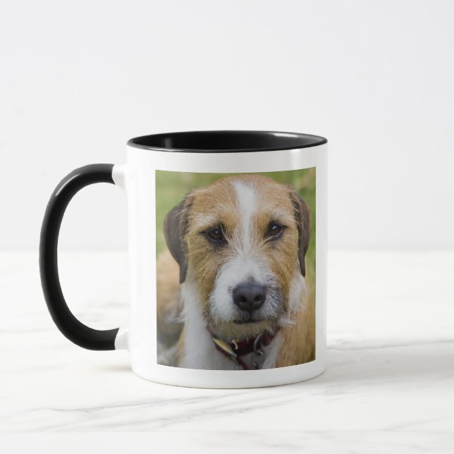 pooley bridge cumbria england 2 mug (Left)