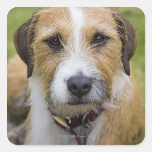 pooley bridge cumbria england 2 square sticker