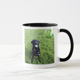 pooley bridge cumbria england mug